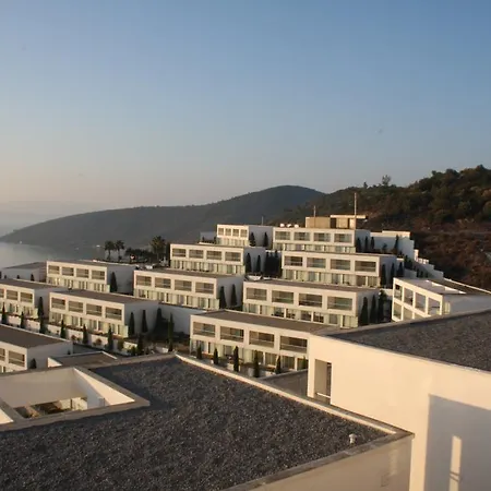Daire Horizon Sky Coconut 3