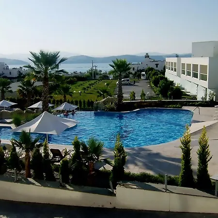 Horizon Sky Coconut 3 Kıyıkıslacık