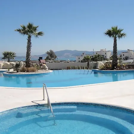 Daire Horizon Sky Coconut 3 *