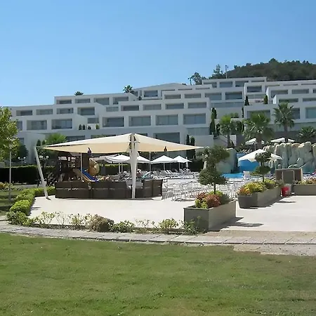 Daire Horizon Sky Coconut 3