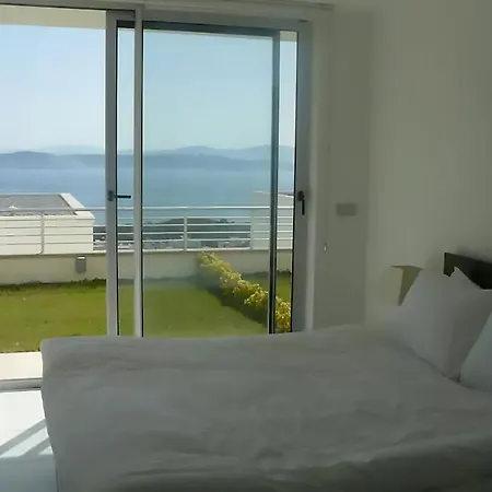 Horizon Sky Coconut 3 *